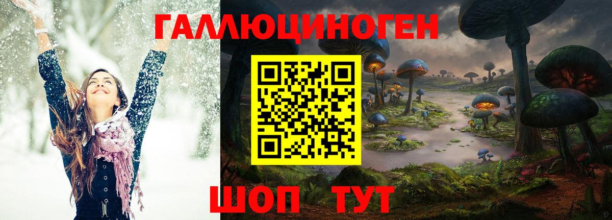 Галлюциногенные грибы Psilocybe  где можно купить   Галлюциногенные грибы мицелий  Анапа  Вход с VPN 